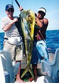 Dorado