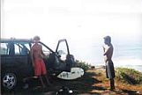 Surf trips