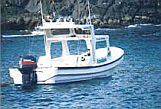 Embarcacin Hawaiiana