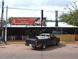 Pollos locos Nicols Bravo 15