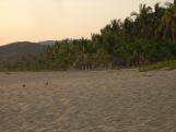 Playa Larga