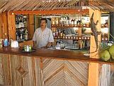 Bar Cocodrilos
