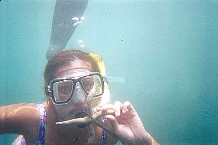 Diving & Snorkel  at Ixtapa Zihuatanejo