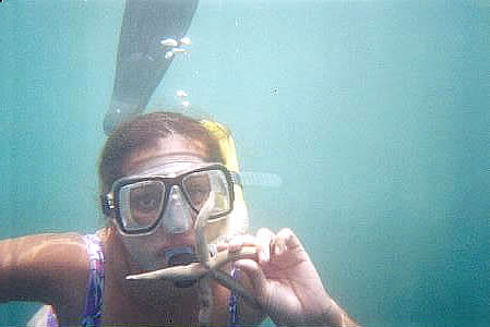 Buceo