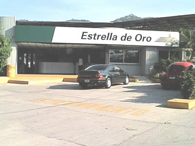 Estrella de oro