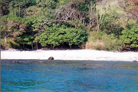 Manzanillo