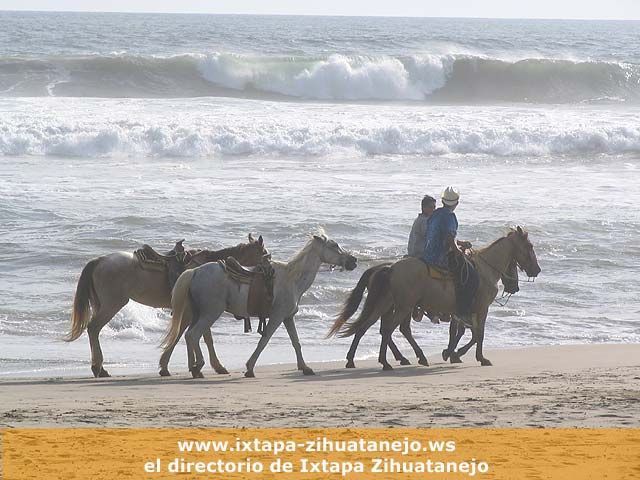 Paseo a caballos - Playa Troncones